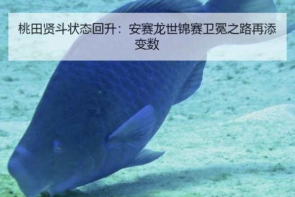 桃田贤斗状态回升：安赛龙世锦赛卫冕之路再添变数